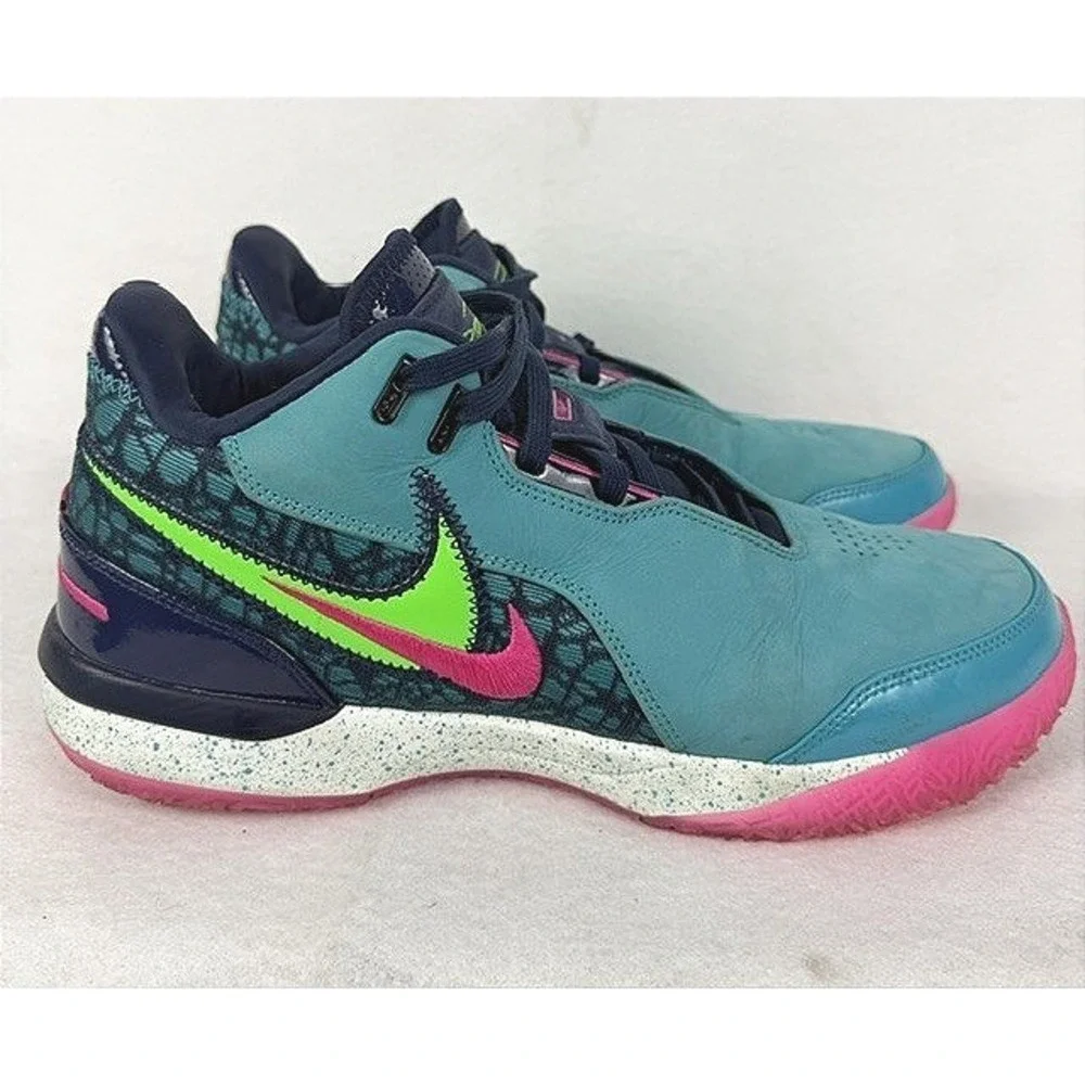 Nike lebron all
